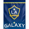 [LA Galaxy Banner]