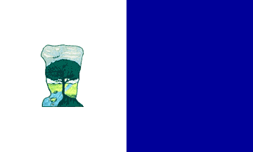 Mercedes flag