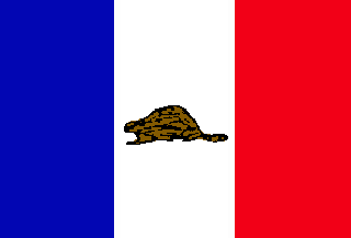 [Patriotic flag after 1839]