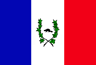 [Patriotic flag after 1839]