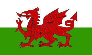 Welsh Fla