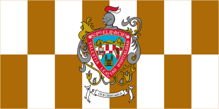 Muncipality of Chihuahua flag