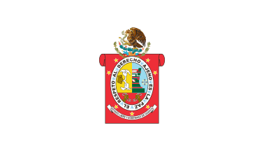 Oaxaca unofficial white flag
