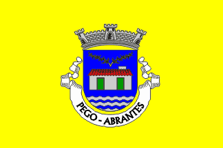 Pego commune