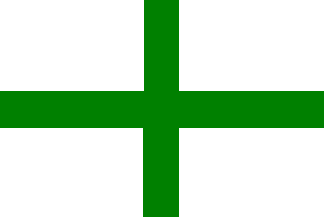 Flag Officer Inspecting