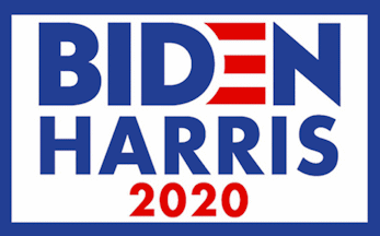 [Biden Organization flag]