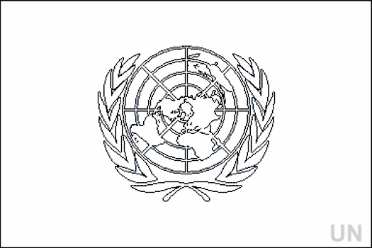 Colouring Book of Flags International Organizations