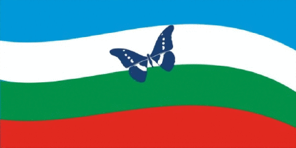 [Obera municipal flag]