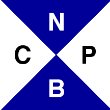 [Club Nautico y de Pesca Brown flag]