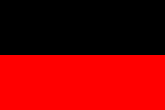 [Flag of Zoutleeuw upside down]