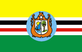 [Flag of Cedral, MA (Brazil)]