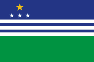 [Flag of Carangola, Minas Gerais