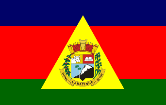 [Flag of Caratinga, Minas Gerais