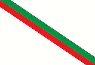 [Flag of Itaúna, Minas Gerais