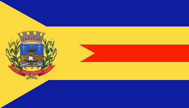 [Flag of Januária, Minas Gerais