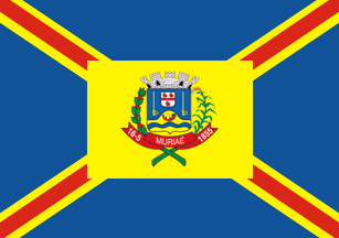 [Flag of Muriaé, Minas Gerais