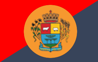 [Flag of Perdizes, Minas Gerais