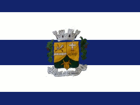 [Flag of Rochedo de Minas, Minas Gerais