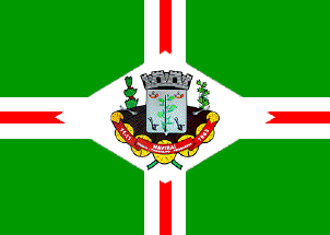 [Flag of Naviraí, 