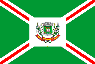 [Flag of Paranaíba, 