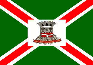 [Flag of Barra do Bugres, MT (Brazil)]