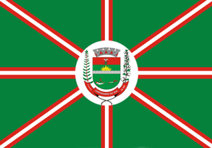 [Flag of Centenário do Sul, PR (Brazil)]