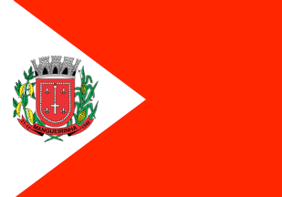 [Flag of Mangueirinha, PR (Brazil)]