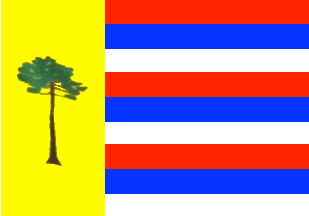 [Flag of Pitanga, PR (Brazil)]