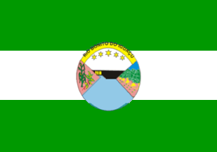 [Flag of Rio Bonito do Iguaçu (Paraná), PR (Brazil)]