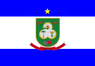[Flag of 
Campos Novos, SC (Brazil)]