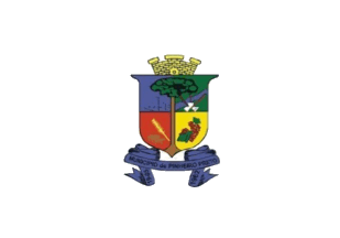 [Flag of Pinheiro Preto,
SC (Brazil)]