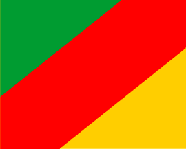 [Flag of Rio Grande Republic (1836-45)(Brazil)]