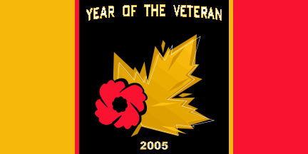 [Year of the Veteran flag]