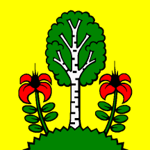 [Flag of Besenbüren]