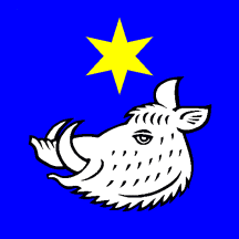 [Flag of Safenwil]