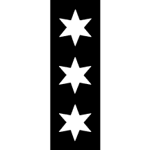 [Flag of Binningen]