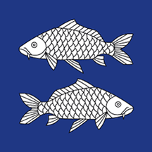 [Flag of Fischingen]