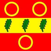 [Flag of Rueyres]