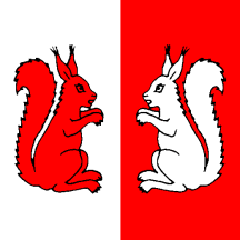 [Flag of Neyruz-sur-Moudon]