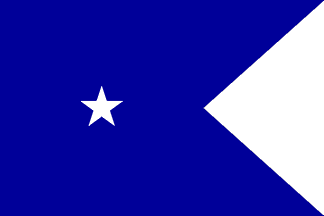 [flag of Commodore or Captain in Command]
