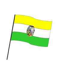 Флаг зеленый желтый зеленый вертикально