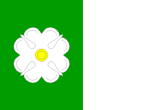 [Šerkovice flag]