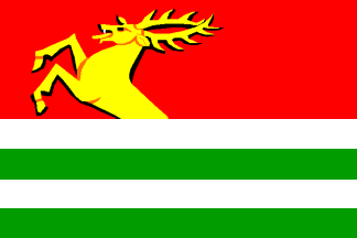 [Benesov municipality flag]