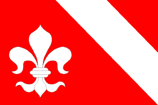 [Nýrov municipality flag]