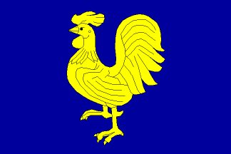 [Flag of Przno]