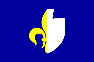 [Darkovice municipality flag]