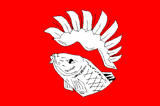 [Ostrava-Trebovice flag (obverse)]