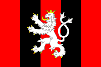 [Duchcov municipality flag]