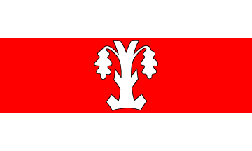 [Schwuelper municipal flag]