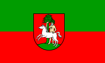 [Wildemann town flag]